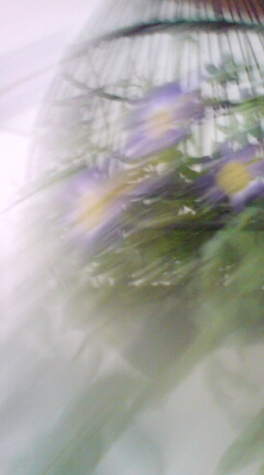 f0031722_22163257.jpg