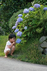 b0056924_12405777.jpg