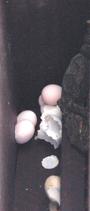 e0107030_13112143.jpg