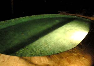 b0035734_18425792.jpg