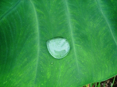 e0119840_21405021.jpg