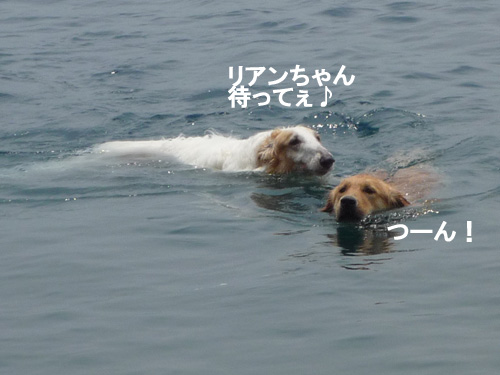 e0038241_152839.jpg