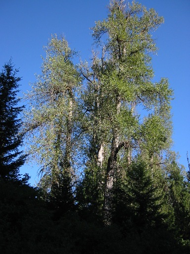 f0084544_15294923.jpg