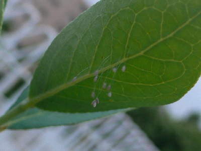 d0022845_22282930.jpg