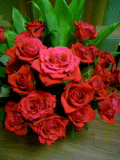 d0103548_23582056.jpg