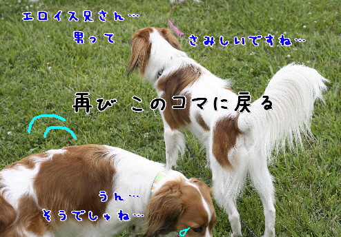 d0013149_1063140.jpg