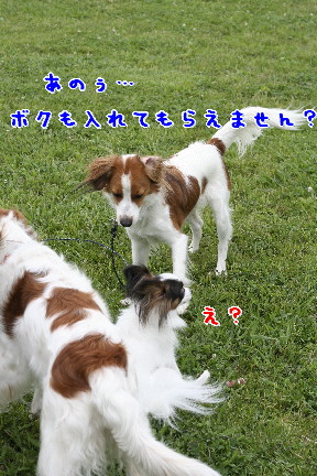 d0013149_8424230.jpg