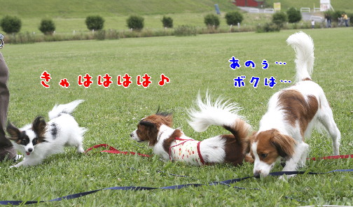 d0013149_8591551.jpg