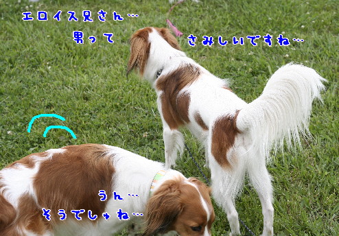 d0013149_929599.jpg