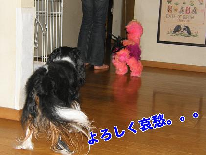c0145250_7464897.jpg