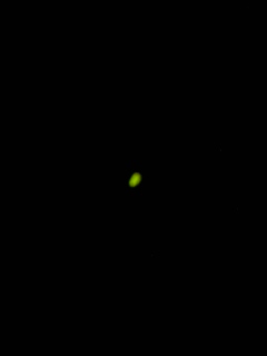 e0133656_2027352.jpg
