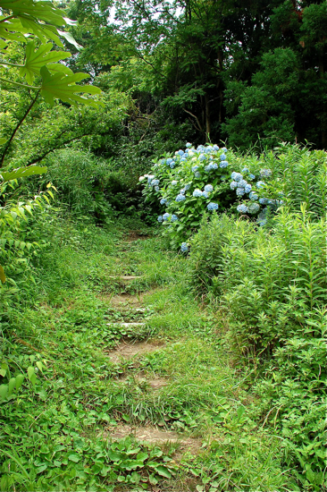 f0176458_12223027.jpg