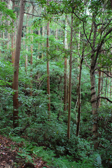 f0176458_12265879.jpg
