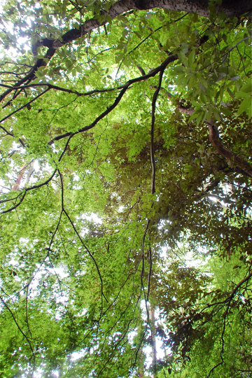 f0176458_1233619.jpg
