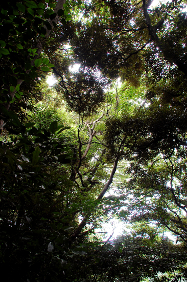 f0176458_1238766.jpg