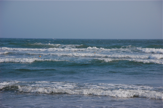 f0176458_1424359.jpg