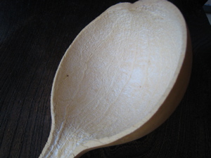 c0153259_17481338.jpg