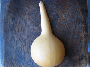 c0153259_1748255.jpg