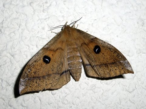 b0130166_1245675.jpg