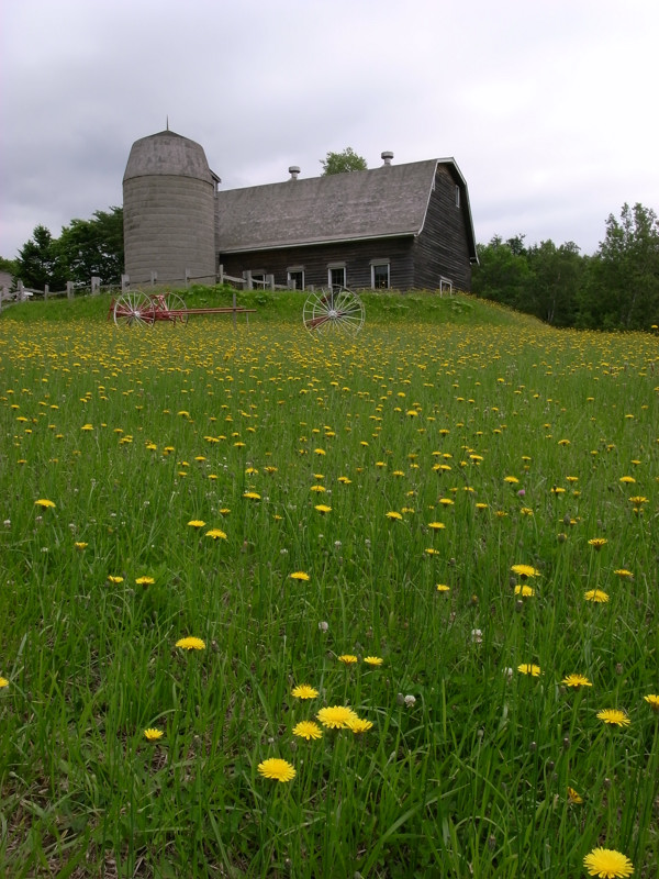 c0084666_726372.jpg