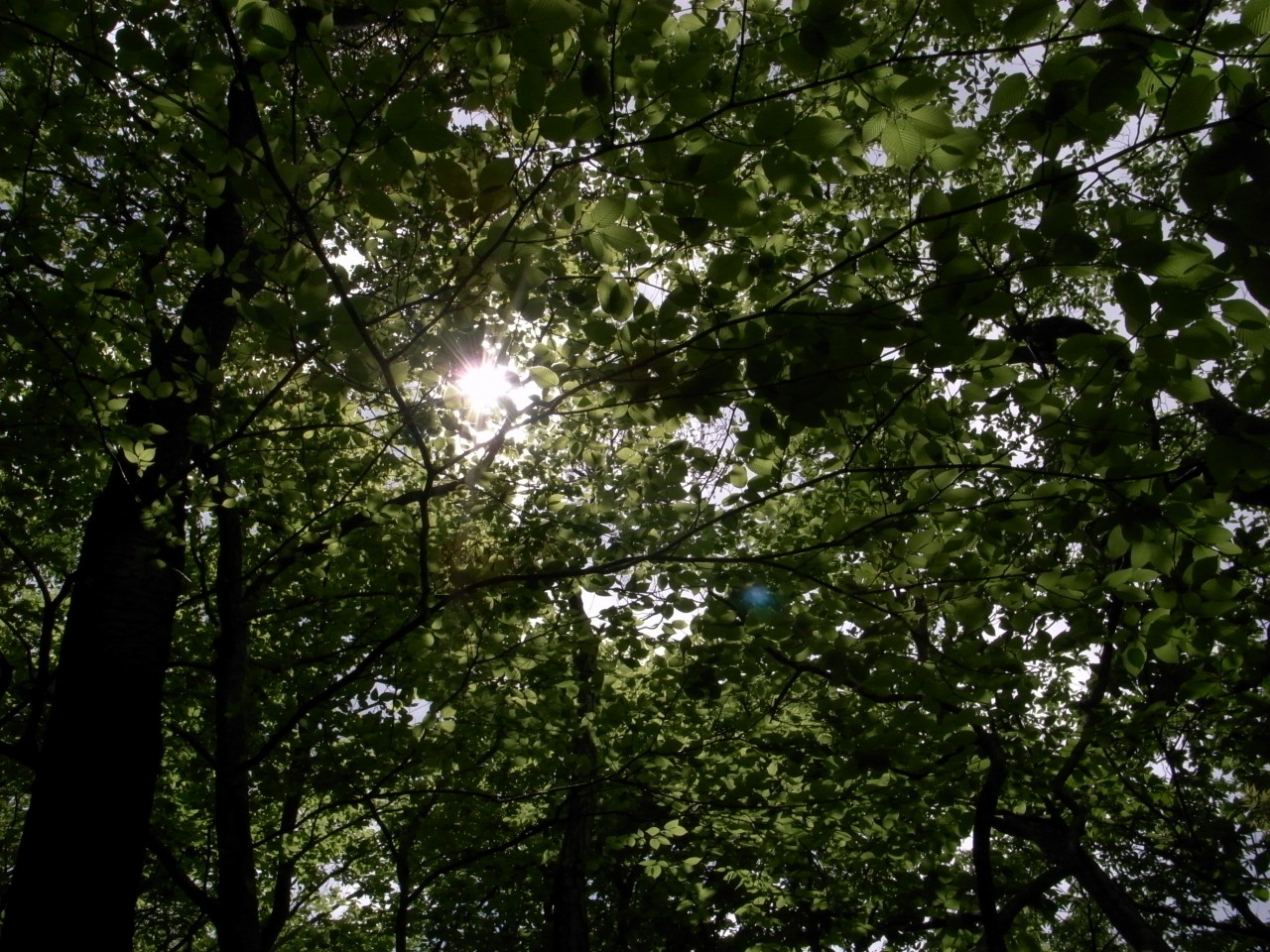 a0103569_23103818.jpg