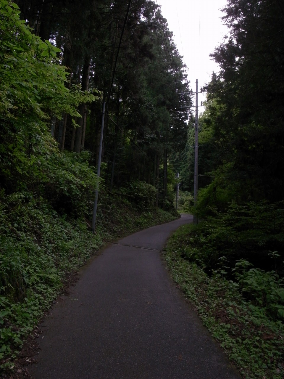 a0103569_2313557.jpg