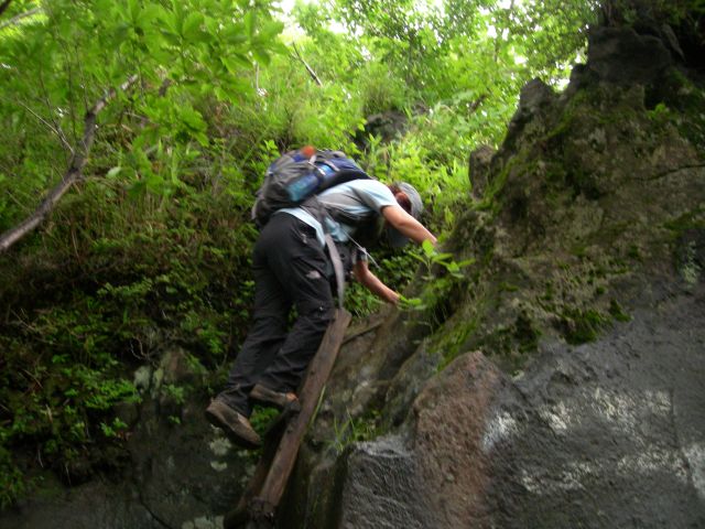 c0042869_20354050.jpg