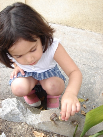 f0136579_017485.jpg