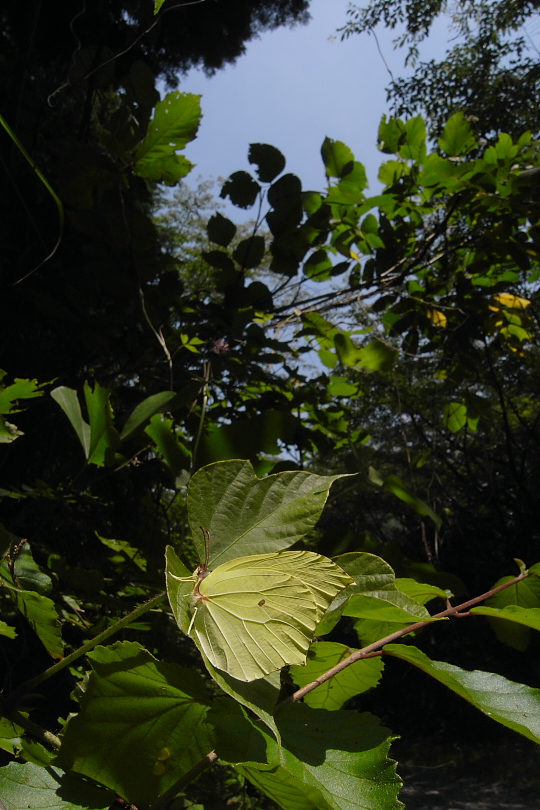 f0090680_22534197.jpg