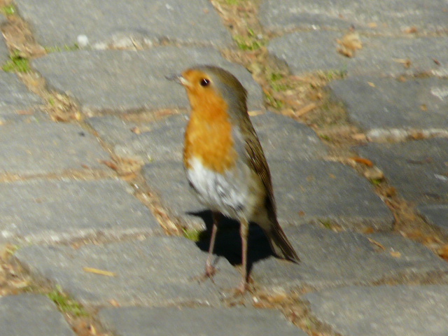 e0145782_9162057.jpg