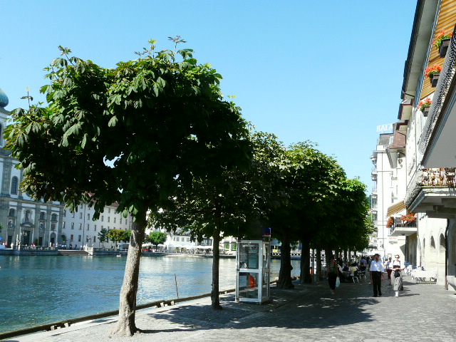 e0145782_919287.jpg
