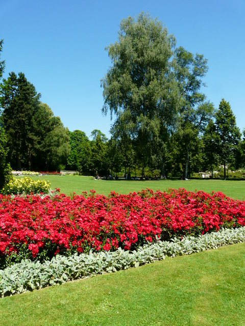 e0145782_9223797.jpg
