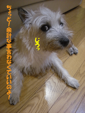 e0066883_22351014.gif