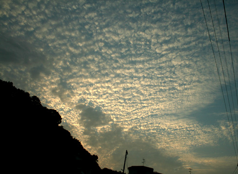 e0100589_1534178.jpg