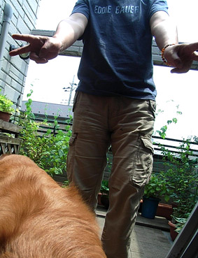 c0096393_233264.jpg