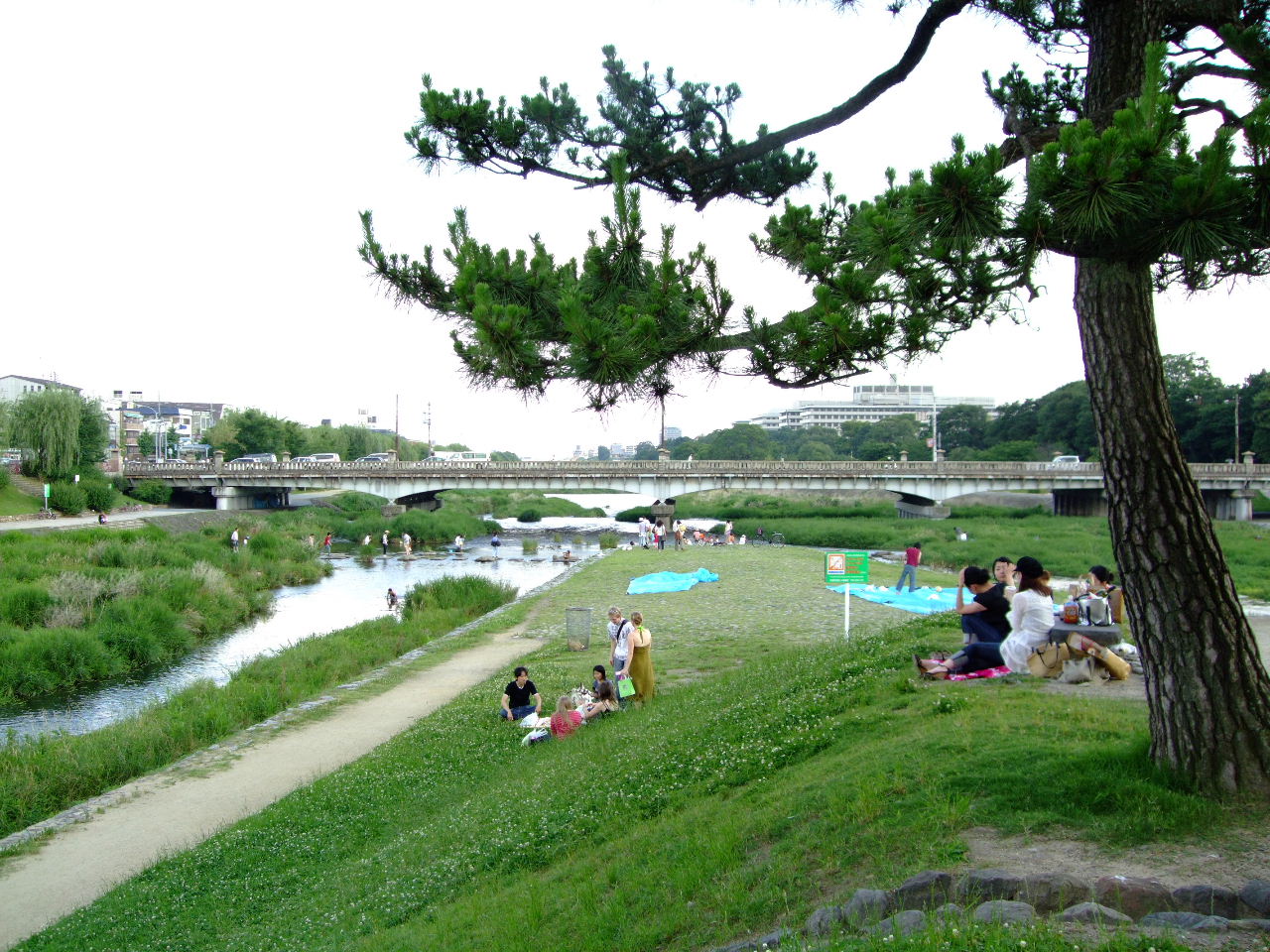 f0100593_645630.jpg
