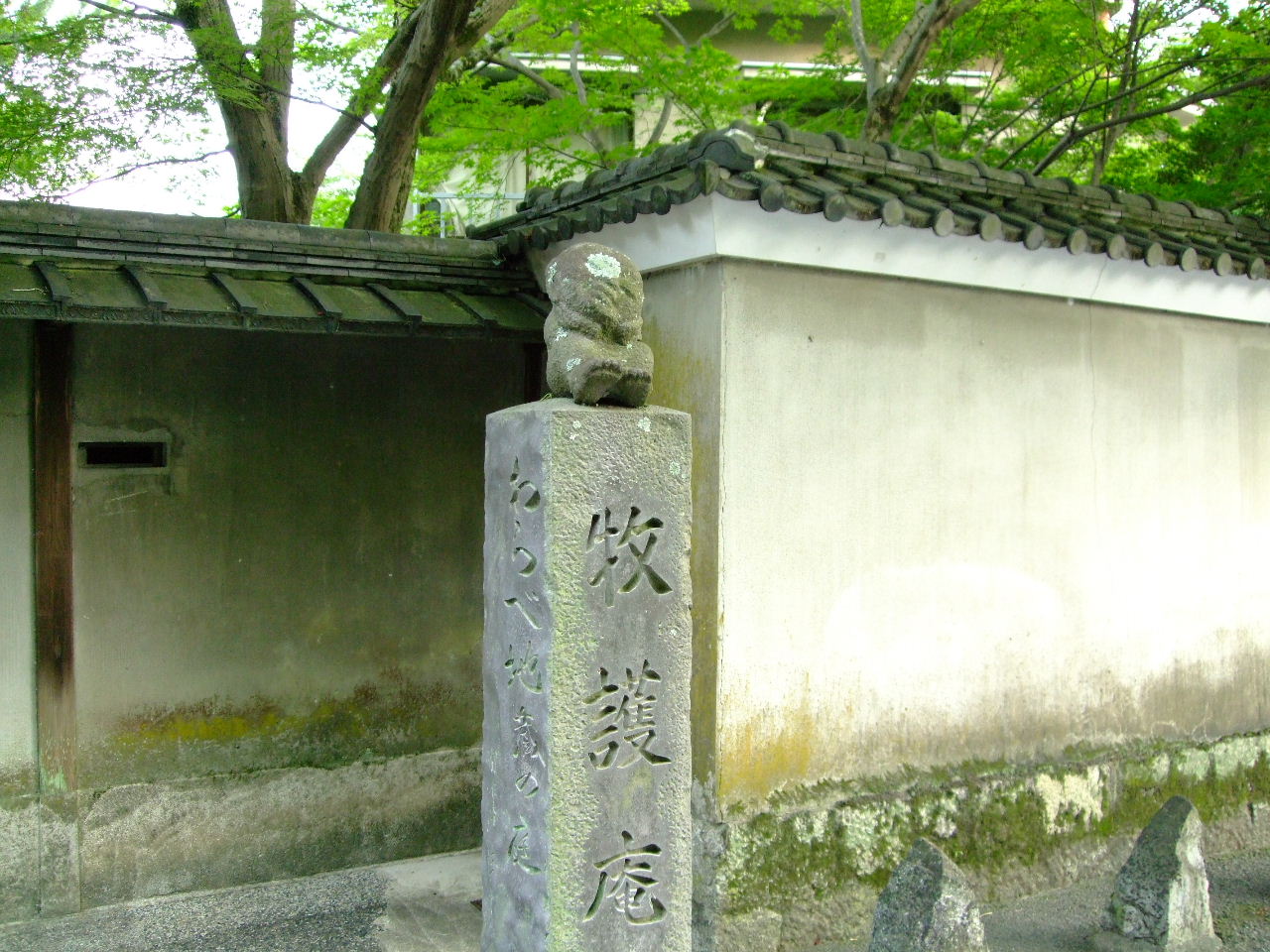 f0100593_759534.jpg