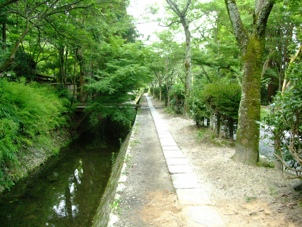 f0100593_80487.jpg