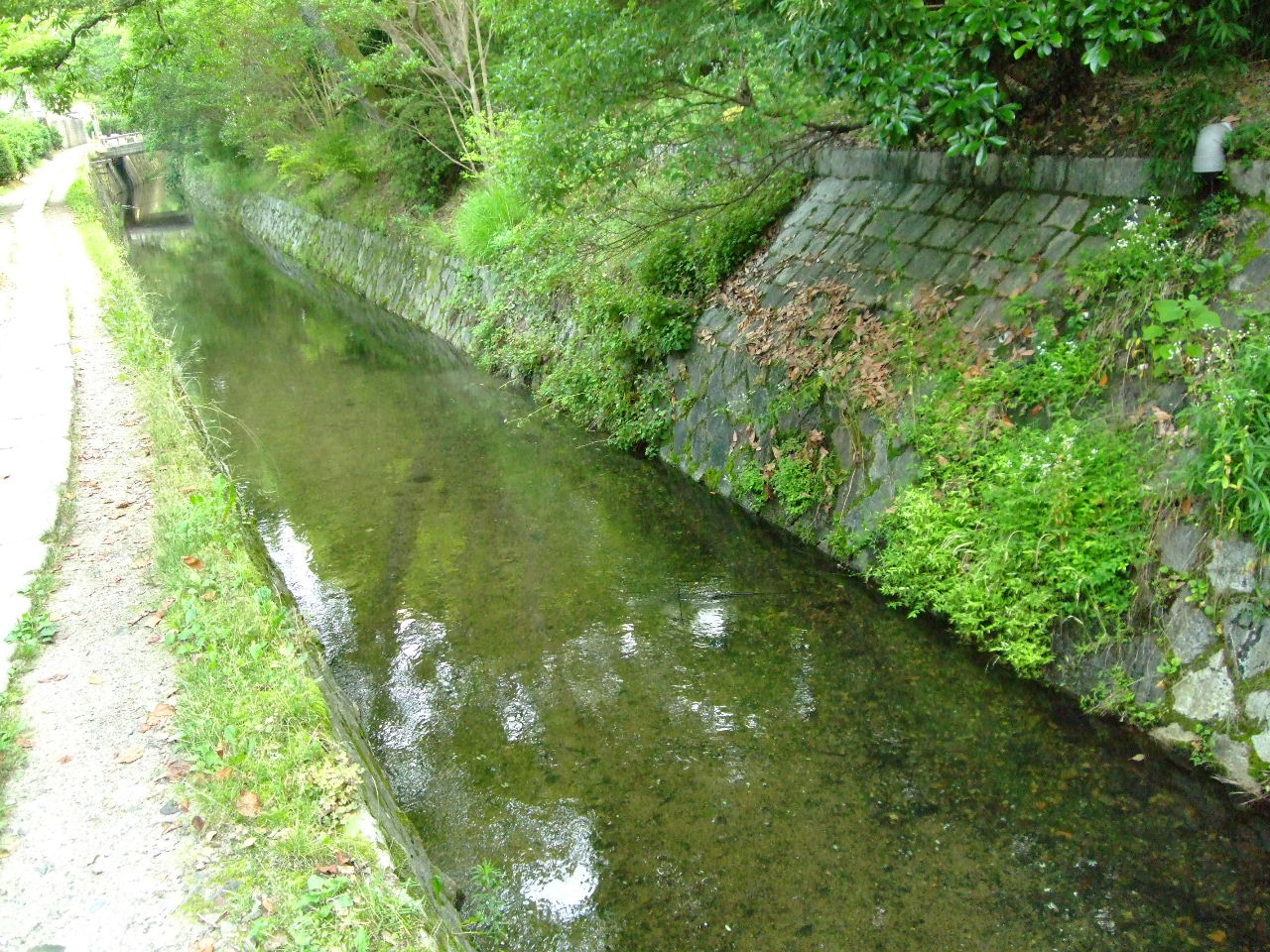 f0100593_812586.jpg