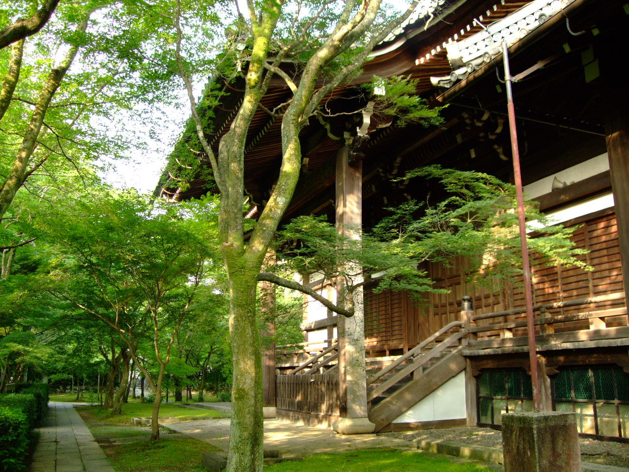 f0100593_824843.jpg