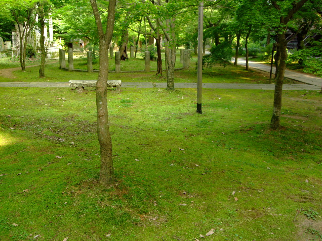 f0100593_845016.jpg