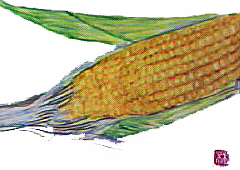 f0008597_21391862.jpg
