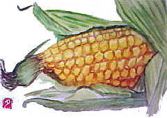 f0008597_21395017.jpg