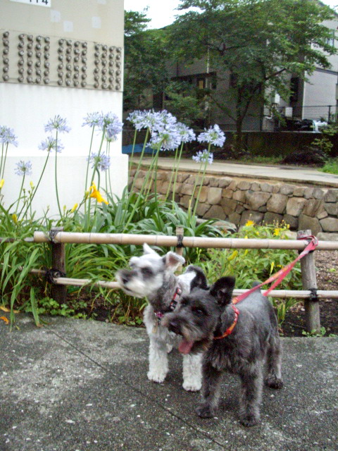 c0138198_21371755.jpg