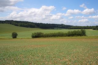 f0127098_7255757.jpg