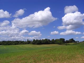 f0127098_7273230.jpg