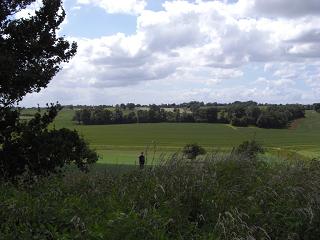 f0127098_728595.jpg