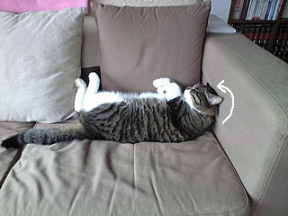 c0035001_17331999.jpg