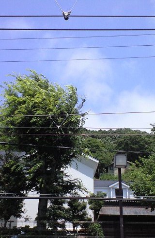 b0083902_5541370.jpg