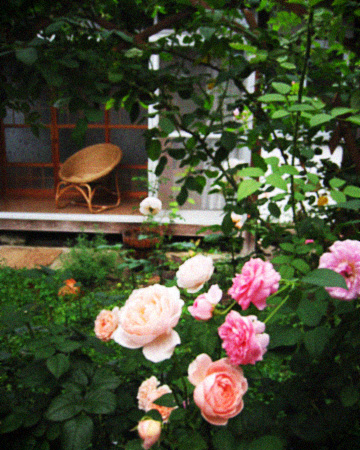 d0077603_5314153.jpg